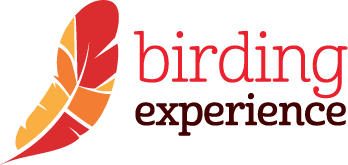 Birding Experience - Agence de voyages spécialisée en ornithologie