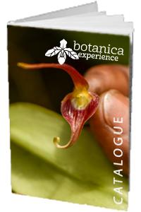 Recevez notre brochure - Botanica Experience