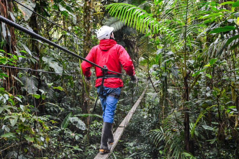 Intillacta, un petit goût de forêt au cœur du Chocó andin ! - Par Botanica Experience